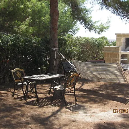 فيلة Azzurra